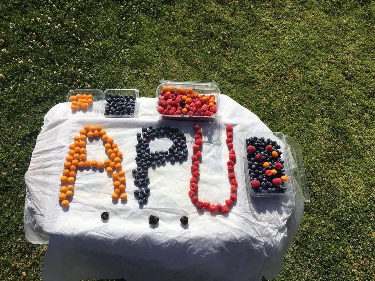 Apu Ecolodge Caraz ภายนอก รูปภาพ